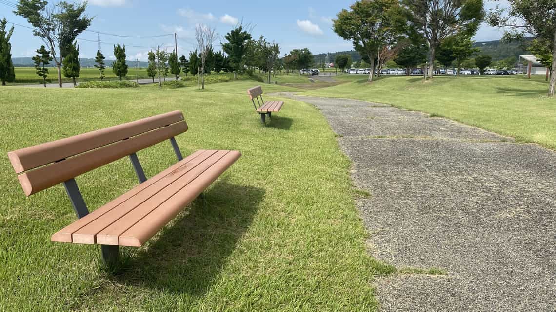 晴れた日の公園のベンチのイメージ
